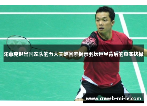 陶菲克退出国家队的五大关键因素揭示羽坛巨星背后的真实抉择