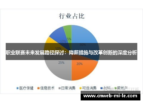 职业联赛未来发展路径探讨：降薪措施与改革创新的深度分析