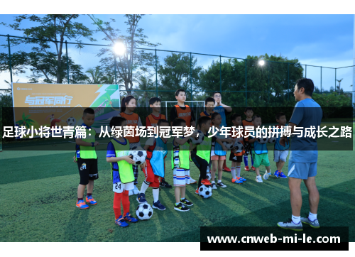 足球小将世青篇：从绿茵场到冠军梦，少年球员的拼搏与成长之路
