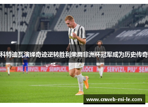 科特迪瓦演绎奇迹逆转胜利荣膺非洲杯冠军成为历史传奇